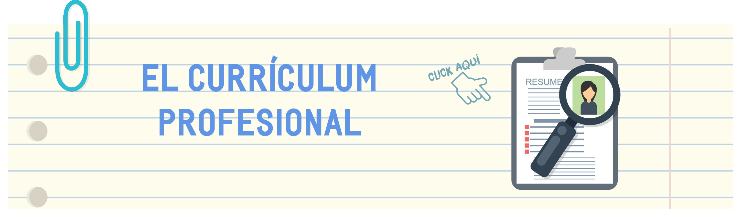 estructura_curriculum_profesional.png