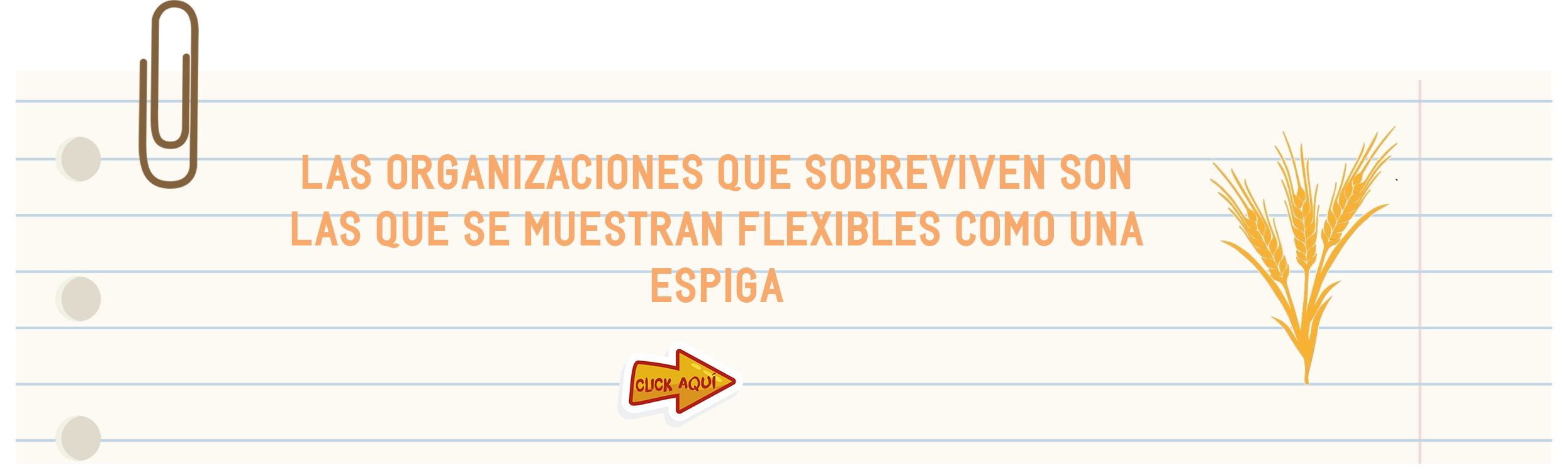 flexibilidad_psicologica_cultura_organizacional.png